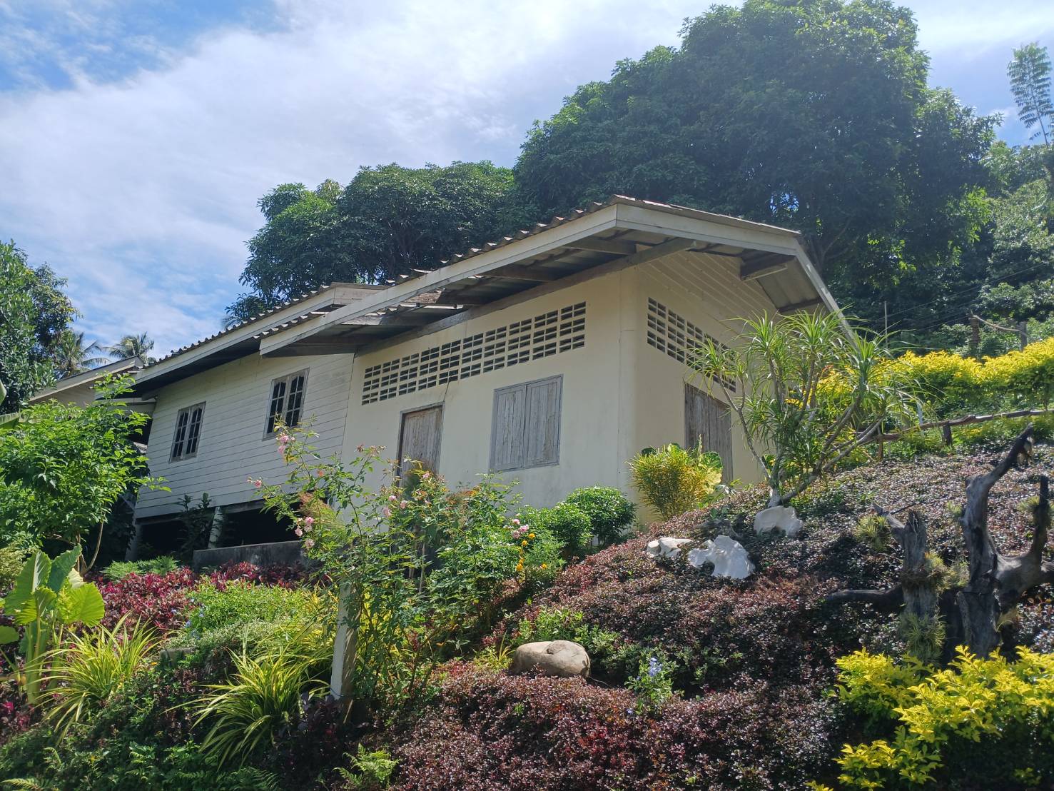 Send picture and documents of the new land for rent and for sale