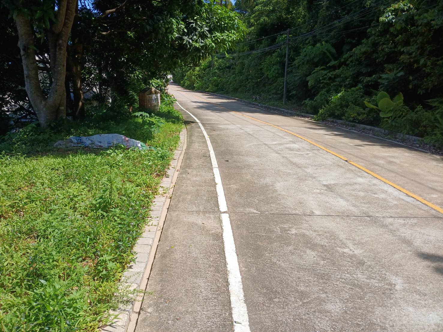 Send picture and documents of the new land for rent and for sale